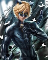 Chat.Noir.(Ladybug).full.2892171