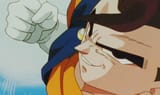 vegito punch