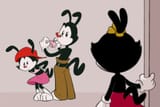 Animaniacs Wakko Busted