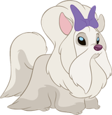 a normal dog