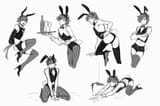 ab9a6291591f81f1220d211d8b651fbf