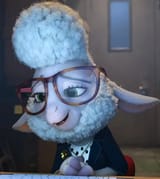 sheep