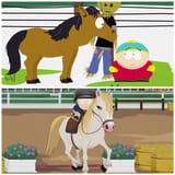 pony