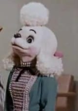 Pamelapoodle