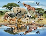 CHADnimals