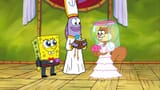 SquarePants Cheeks wedding