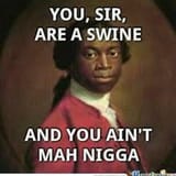you sir are a swine