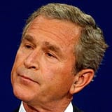 bushskeptic
