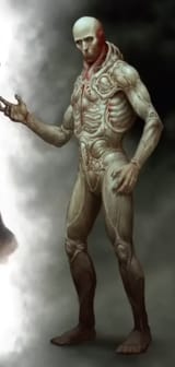 scorn
