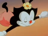 Animaniacs 05 (2)