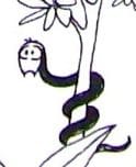 Quino_Eva~2