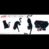 kittyferox_1749505790_3651441680978943105_4924298730