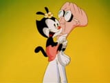 Animaniacs 05 (3)