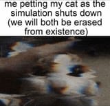 1638528614882