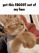 get this FAGGOT out of my face
