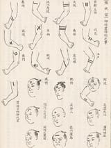 Irezumi_Kojiruien