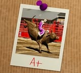 A+