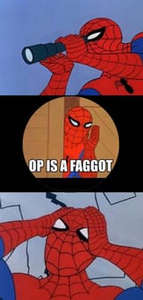 Spiderman_op_is_a_faggot
