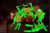 turtles