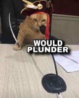 Would Plunder