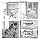 Are You Open