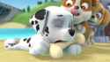 Bone.webm.remade.remade.remade_thumb.jpg