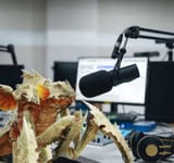 leaked-footage-from-inside-the-illegal-broadcast-stations-v0-cm9oMmM1aDg4eG5jMRt9gGaFPUn08FdrmQQrS77kZcwKg5Lr4OY7BydGOzMk