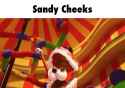 the amazing sandy cheeks_thumb.jpg