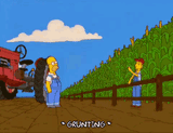 homer-fail