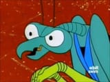 zorak