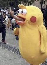 The bird