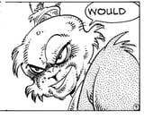Usagi would