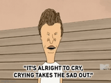 beavis and butthead cry