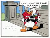 laughing duck
