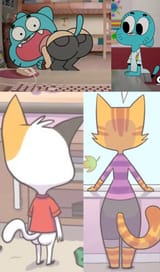 cat asses