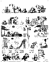 quino doctor