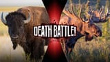 Bison vs Moose
