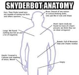 Snyderbot