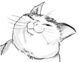 smug kot