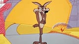 wile-e-coyote-02-1