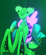 Sophodra