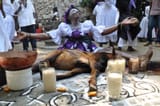 DSC_0120_2-2467486751