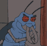 cockroach