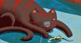 acatinparislizard9