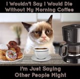 Coffee Cat 907