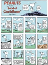 2025-06-22 Peanuts