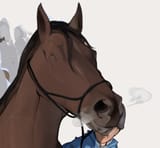 horsey