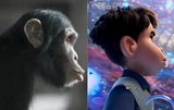 missing link