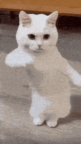 1737316662266549