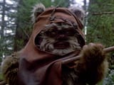 ewok